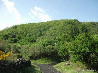 Cavasecca